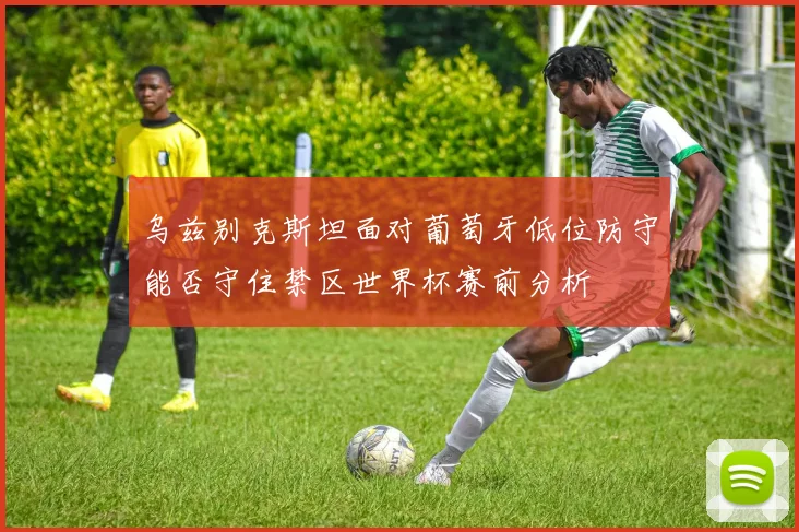 乌兹别克斯坦面对葡萄牙低位防守能否守住禁区世界杯赛前分析