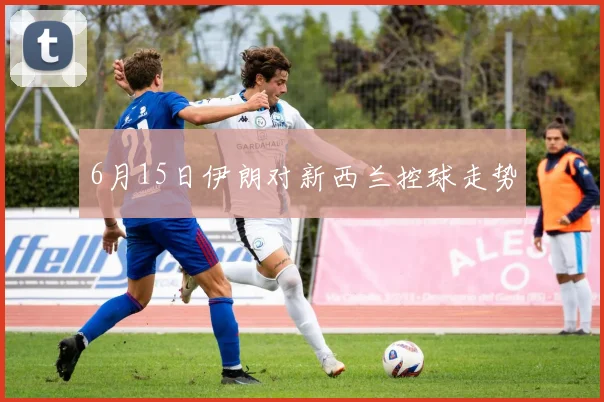 6月15日伊朗对新西兰控球走势